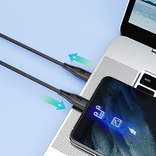 RAVPower RP-CB1029 - 60w TYPE C TO C 1.2M